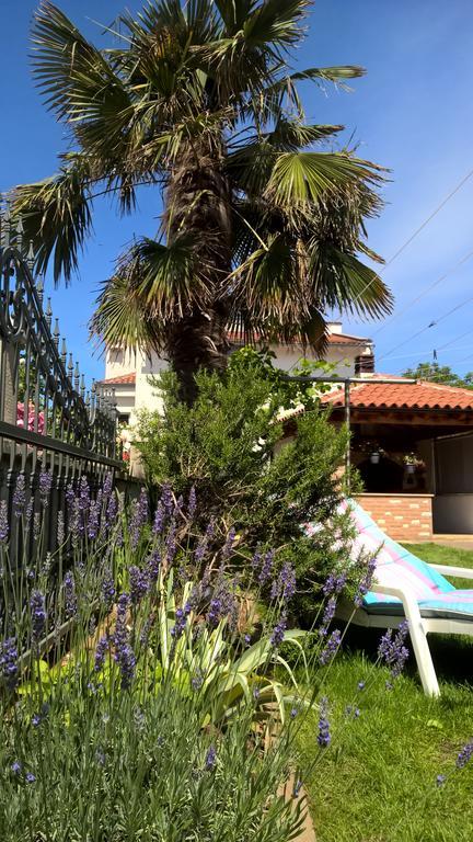 Porta Anna Apartments Μεντουλίν Εξωτερικό φωτογραφία